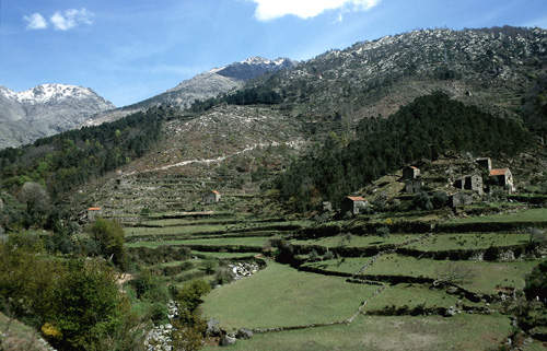 a view of a mountain